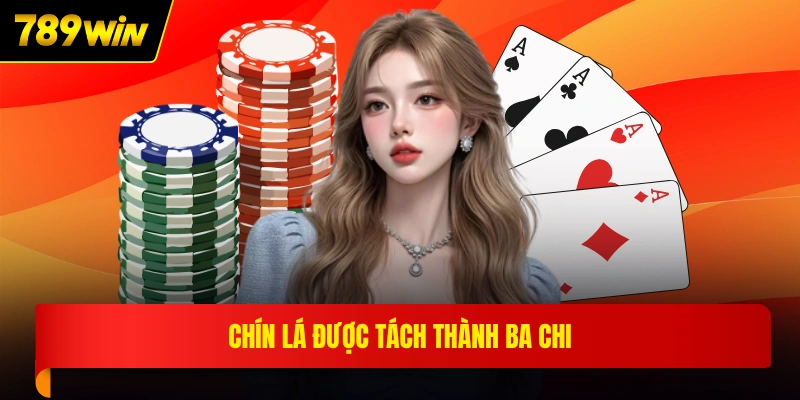 Chín lá được tách thành ba chi
